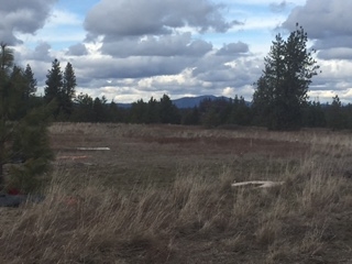 21118 West Jacobs Road Spokane, WA 99224 - Photo 1 of 8