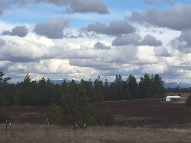 21118 West Jacobs Road Spokane, WA 99224 - Photo 3 of 8