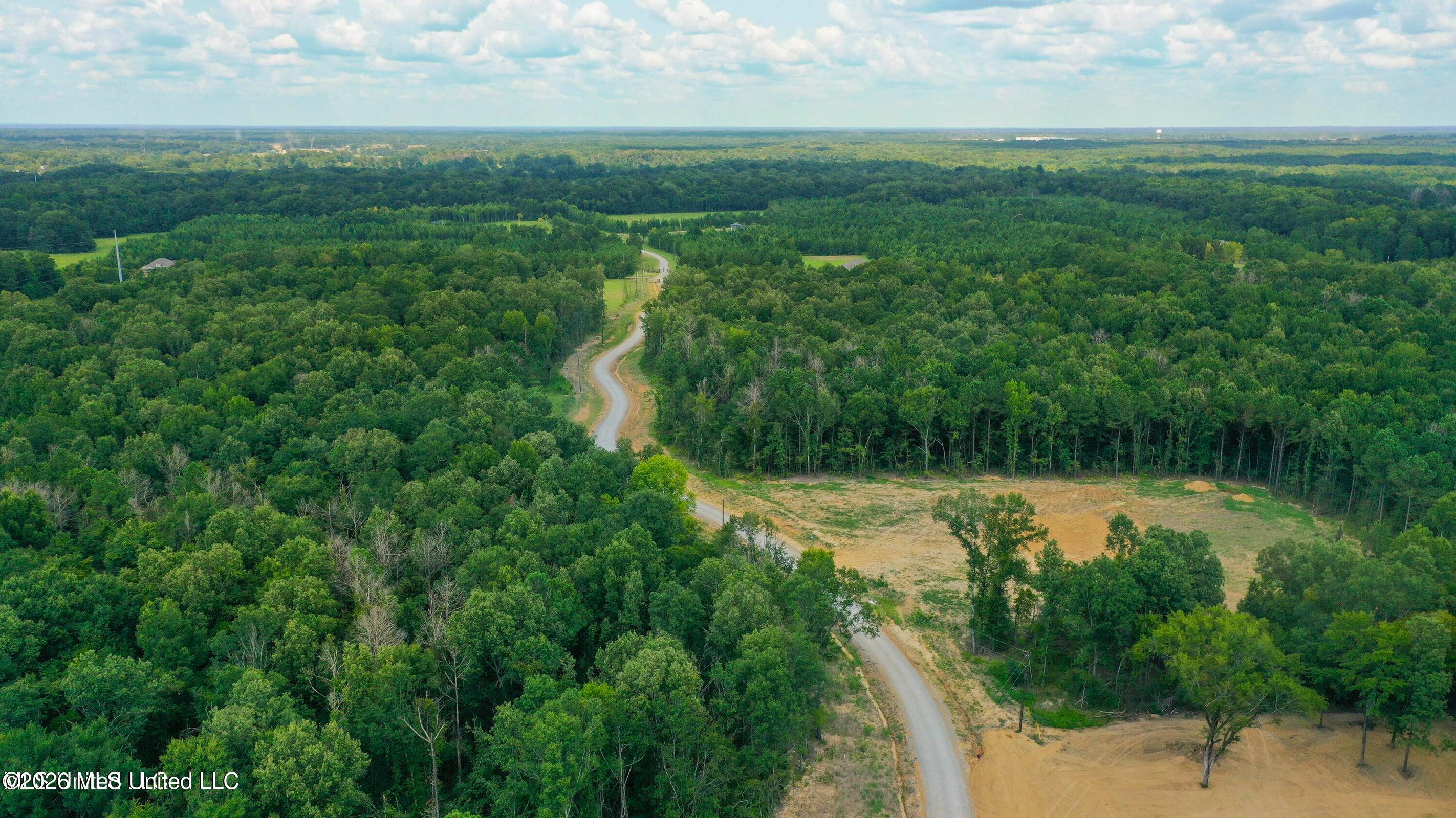 Meadow Lane Madison, MS 39110 - Photo 4 of 17 20250815123054311618000000-o