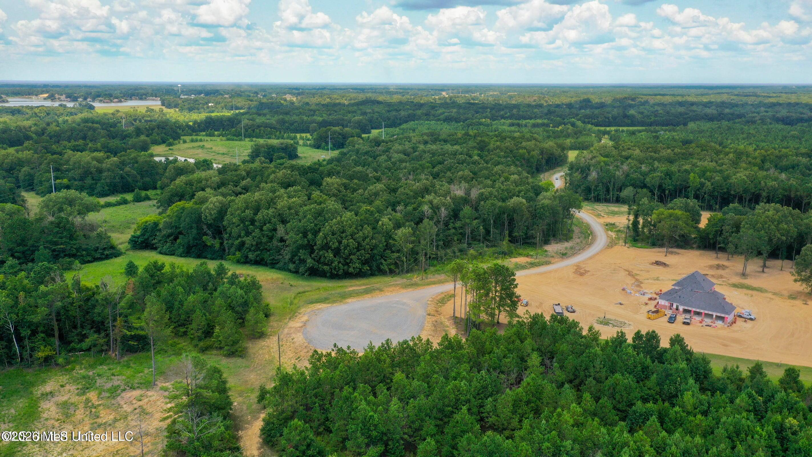 Meadow Lane Madison, MS 39110 - Photo 5 of 17 20250815123057731583000000-o