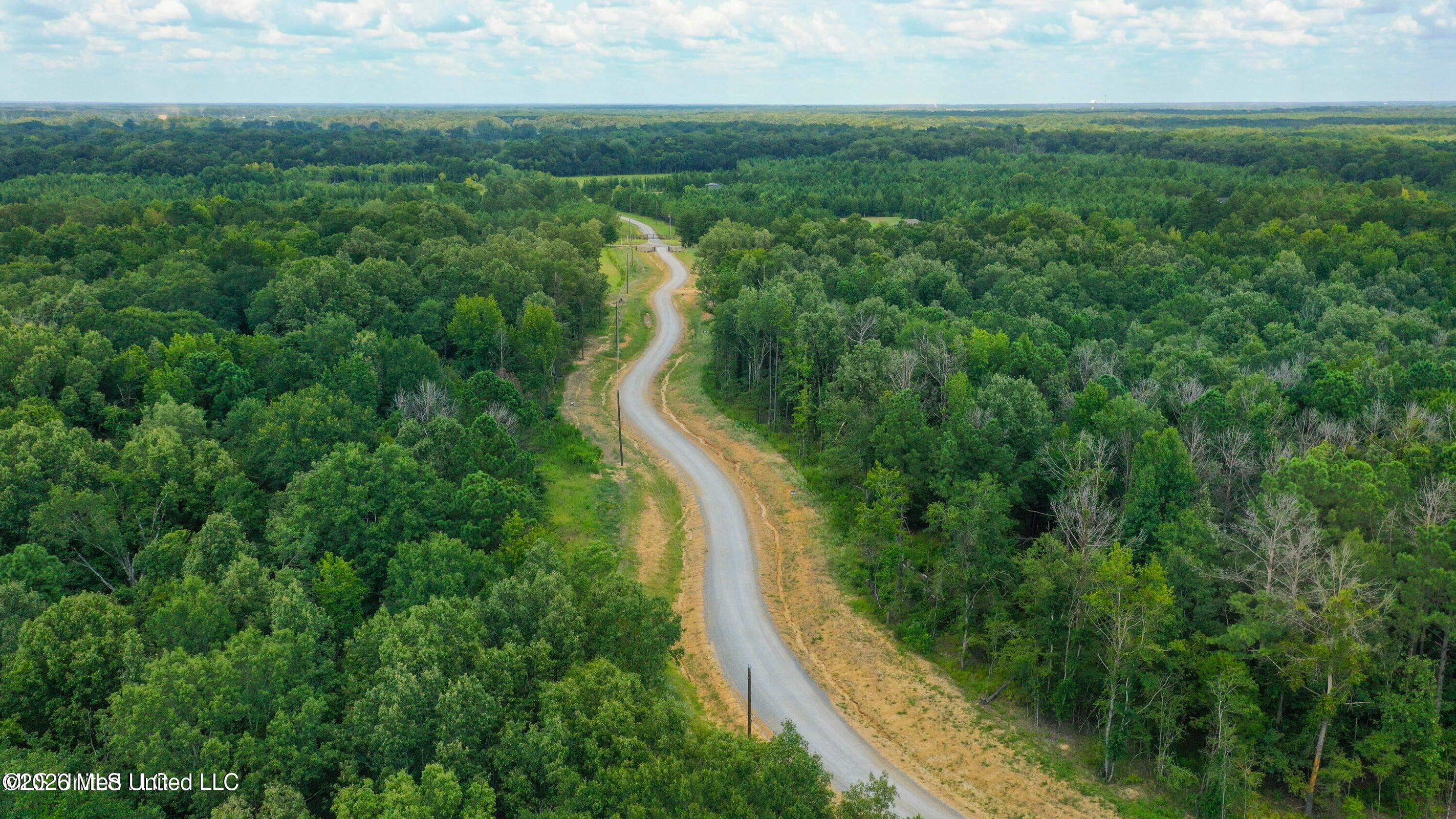Meadow Lane Madison, MS 39110 - Photo 6 of 17 20250815123100209837000000-o