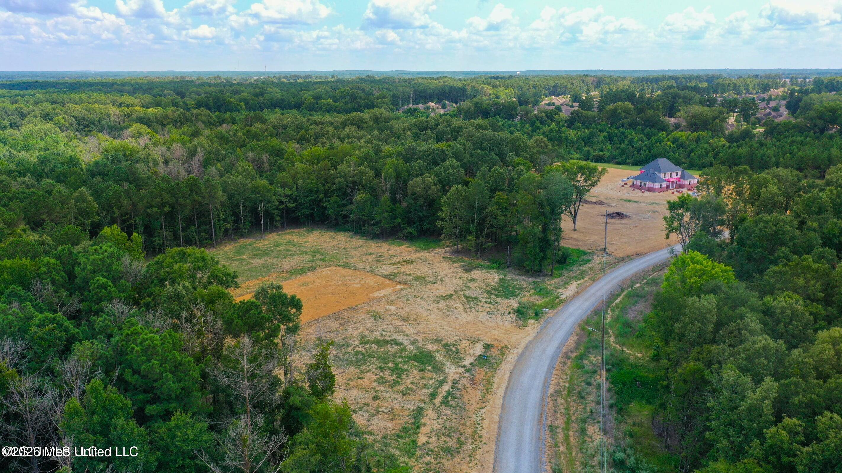 Meadow Lane Madison, MS 39110 - Photo 8 of 17 20250815123104702619000000-o