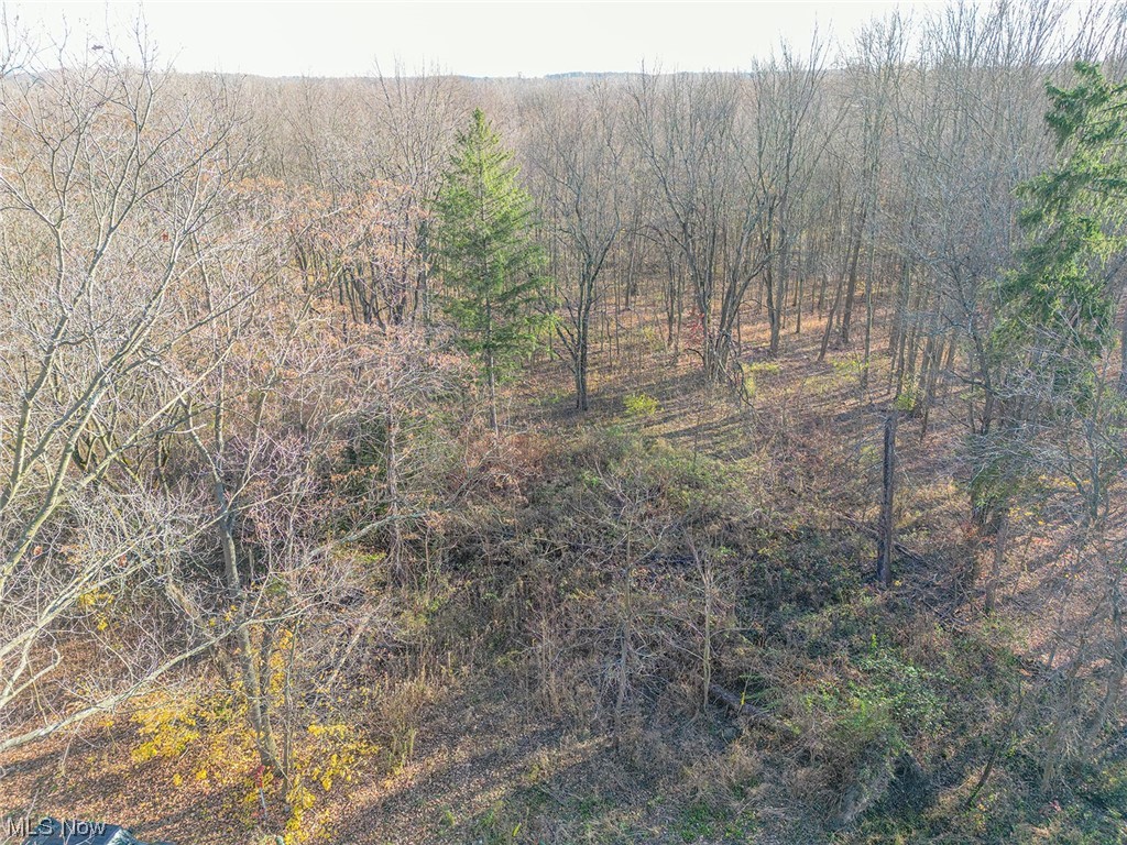 7622 Garman Road Burbank, OH 44214 - Photo 1 of 14 View of nature