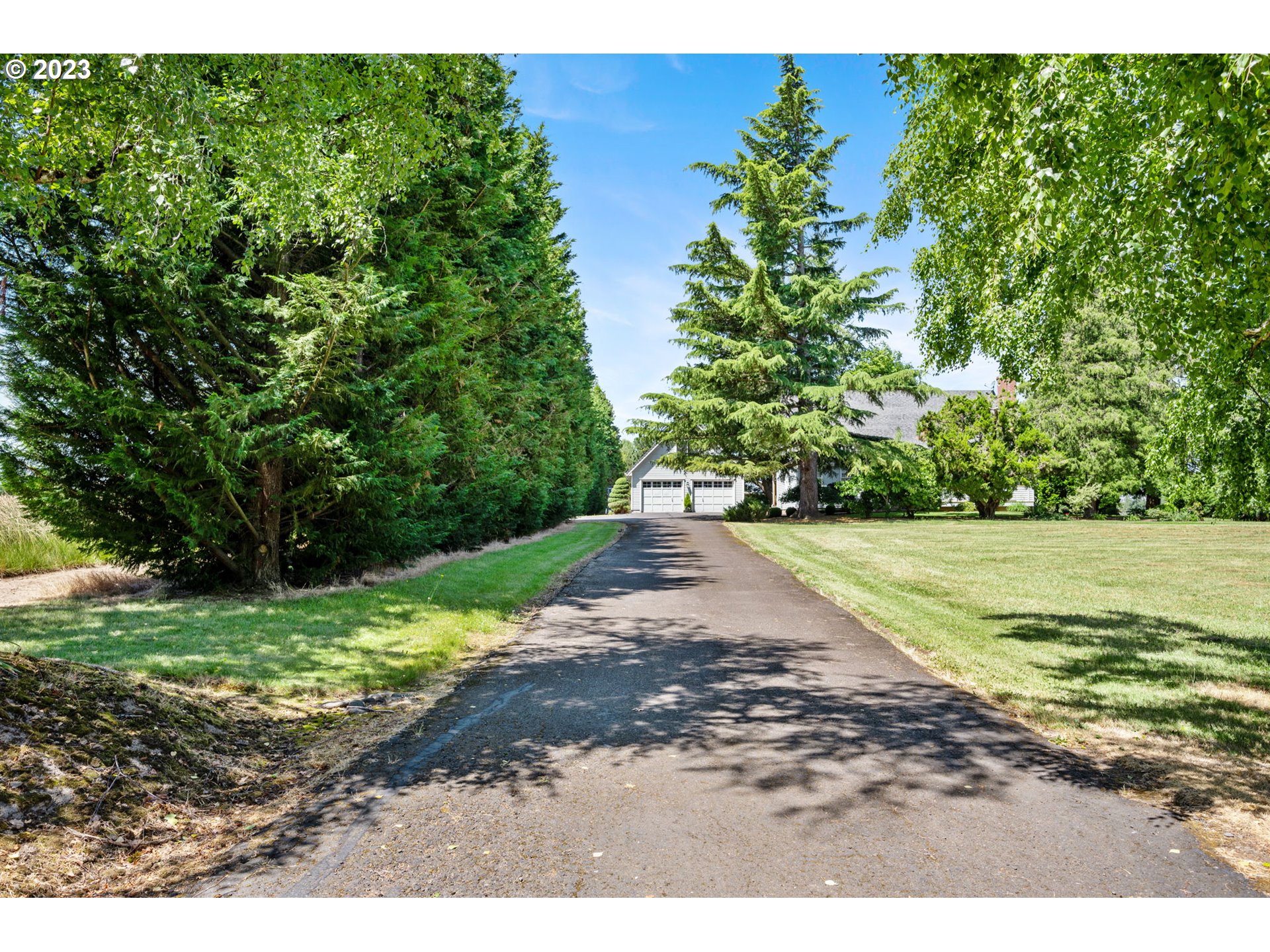 30681 South Needy Road Canby, OR 97013 - Photo 3 of 48 a view of a yard with plants and large trees