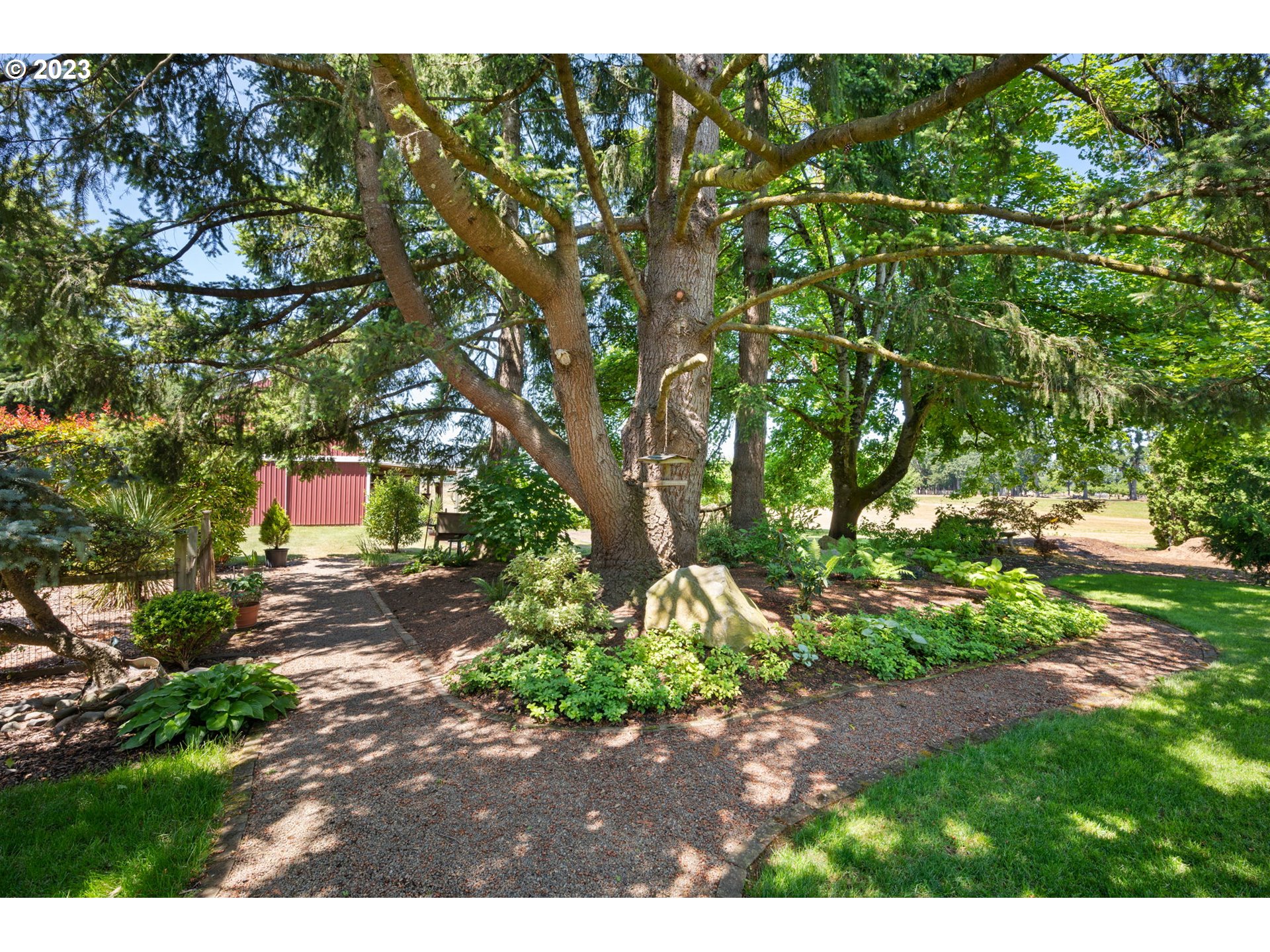 30681 South Needy Road Canby, OR 97013 - Photo 34 of 48 a backyard of a house with a tree