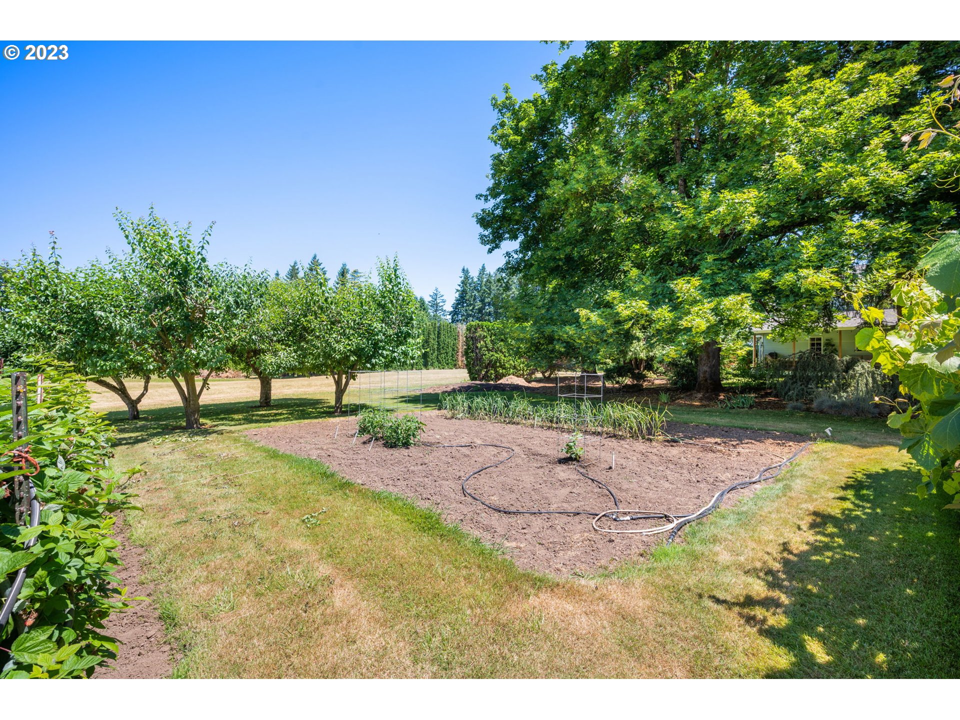 30681 South Needy Road Canby, OR 97013 - Photo 36 of 48 a view of backyard with green space