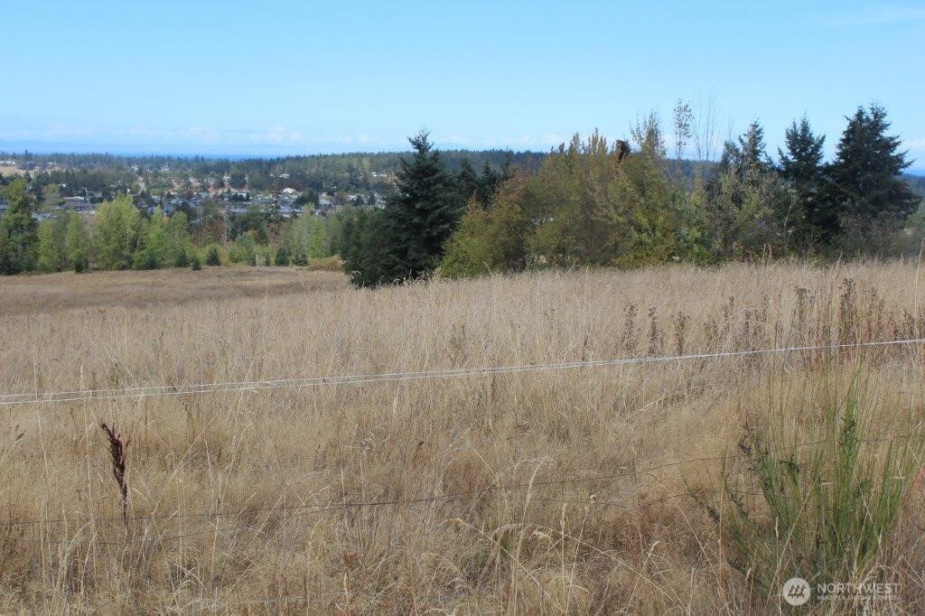 0 Miller Road Sequim, WA 98382 - Photo 9 of 12 Gallery Image 9