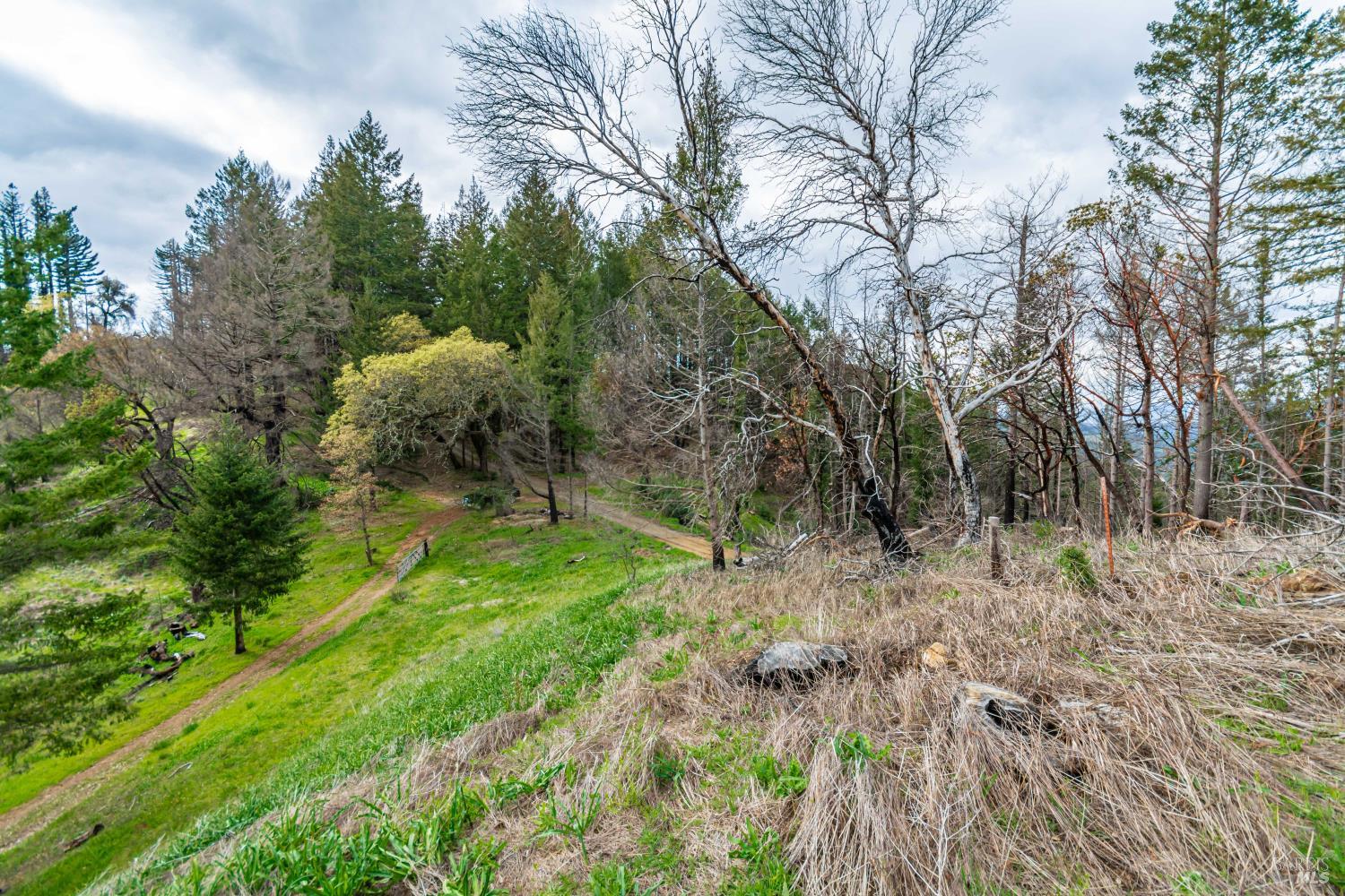 1401 Big Ridge Road Healdsburg, CA 95448 - Photo 54 of 86