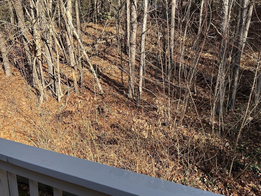 51 Londonderry Road, Unit 51 Grafton, MA 01519 - Photo 21 of 32