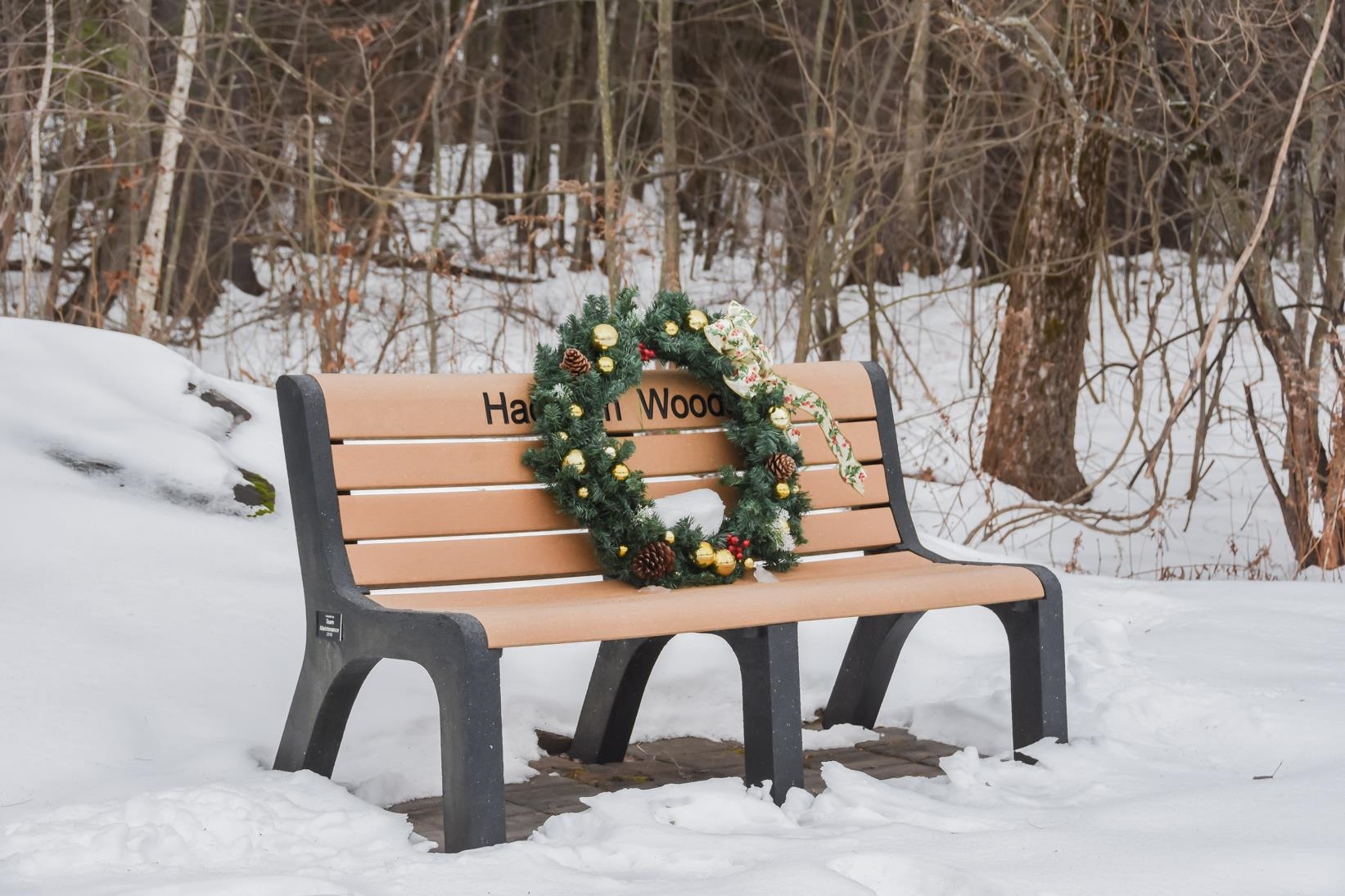 46 Hadleigh Road Windham, NH 03087 - Photo 47 of 49