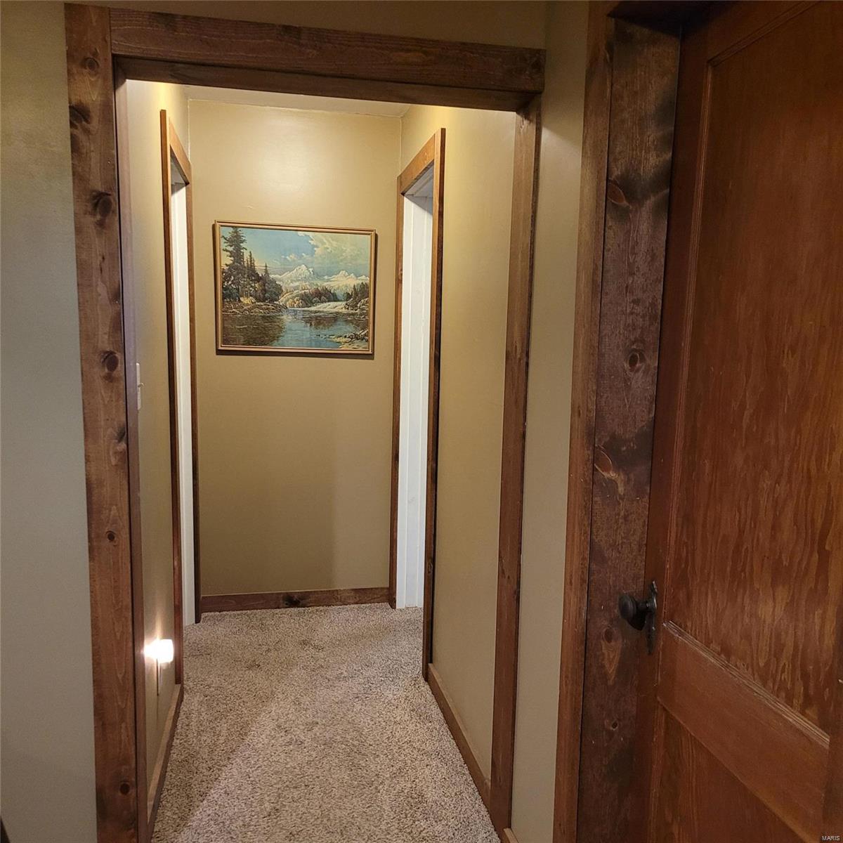 709 West Mill Street Ava, IL 62907 - Photo 14 of 27