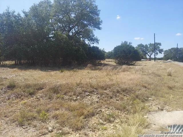 $61,000 | Lot 448 Williams Wood, Blanco, TX 78606
