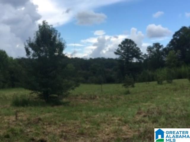 0 Hackney Street, Unit 8 29 ACRES Lincoln, AL 35096 - Photo 18 of 18