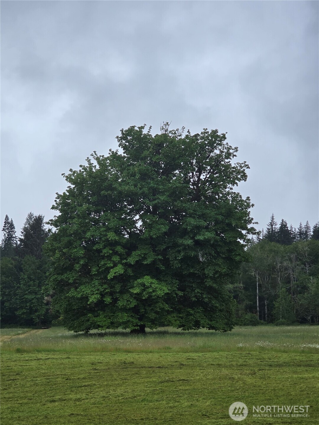 -nka East Satsop Road West Elma, WA 98541 - Photo 29 of 29