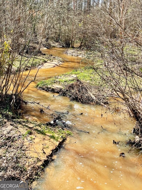 0 Brinkley Road Milner, GA 30204 - Photo 2 of 9 a view of beach with an ocean view