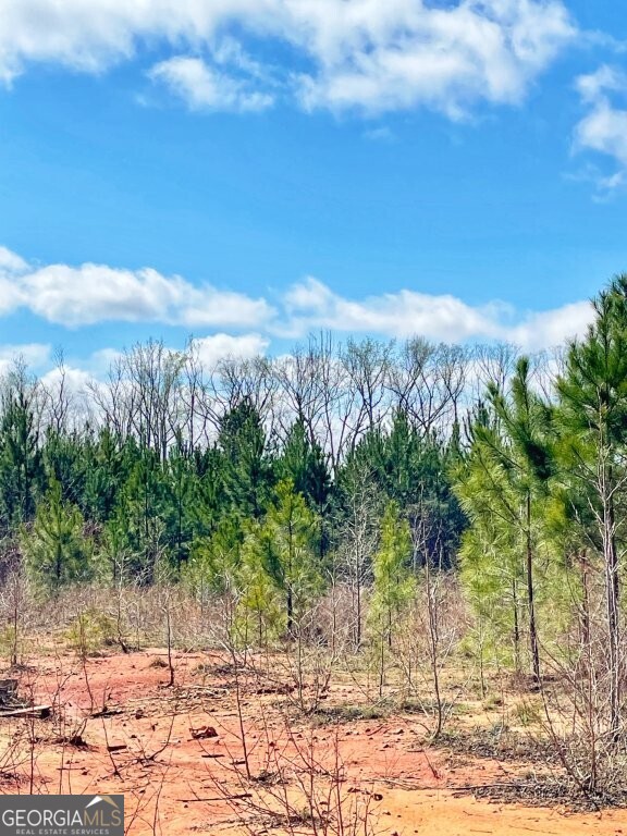 0 Brinkley Road Milner, GA 30204 - Photo 3 of 9 a view of a yard with an trees
