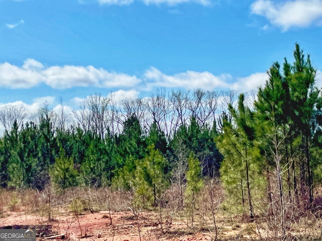 0 Brinkley Road Milner, GA 30204 - Photo 4 of 9 a view of a city