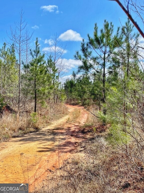 0 Brinkley Road Milner, GA 30204 - Photo 5 of 9 a view of a yard
