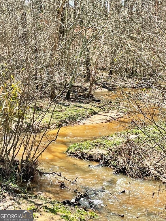 0 Brinkley Road Milner, GA 30204 - Photo 6 of 9 a view of ocean