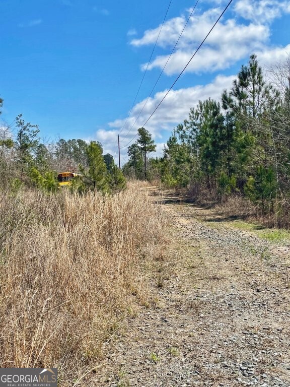 0 Brinkley Road Milner, GA 30204 - Photo 7 of 9 a view of a yard with plants and a large tree