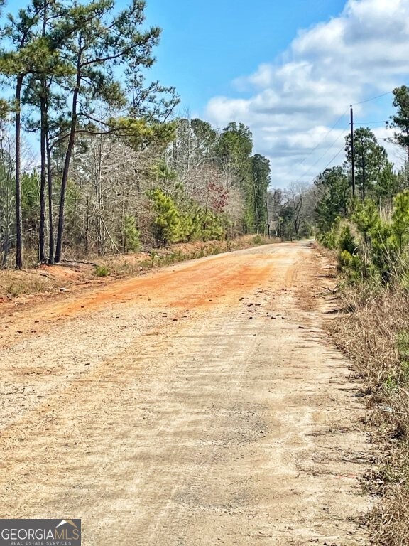 0 Brinkley Road Milner, GA 30204 - Photo 8 of 9 a view of a yard with snow on the road