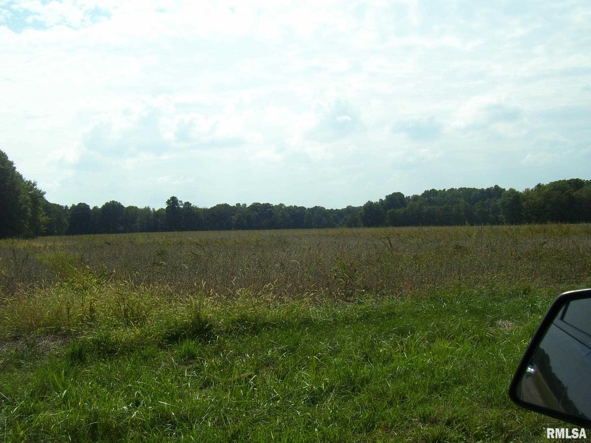 0 Dago Hill Road Iuka, IL 62849 - Photo 3 of 4