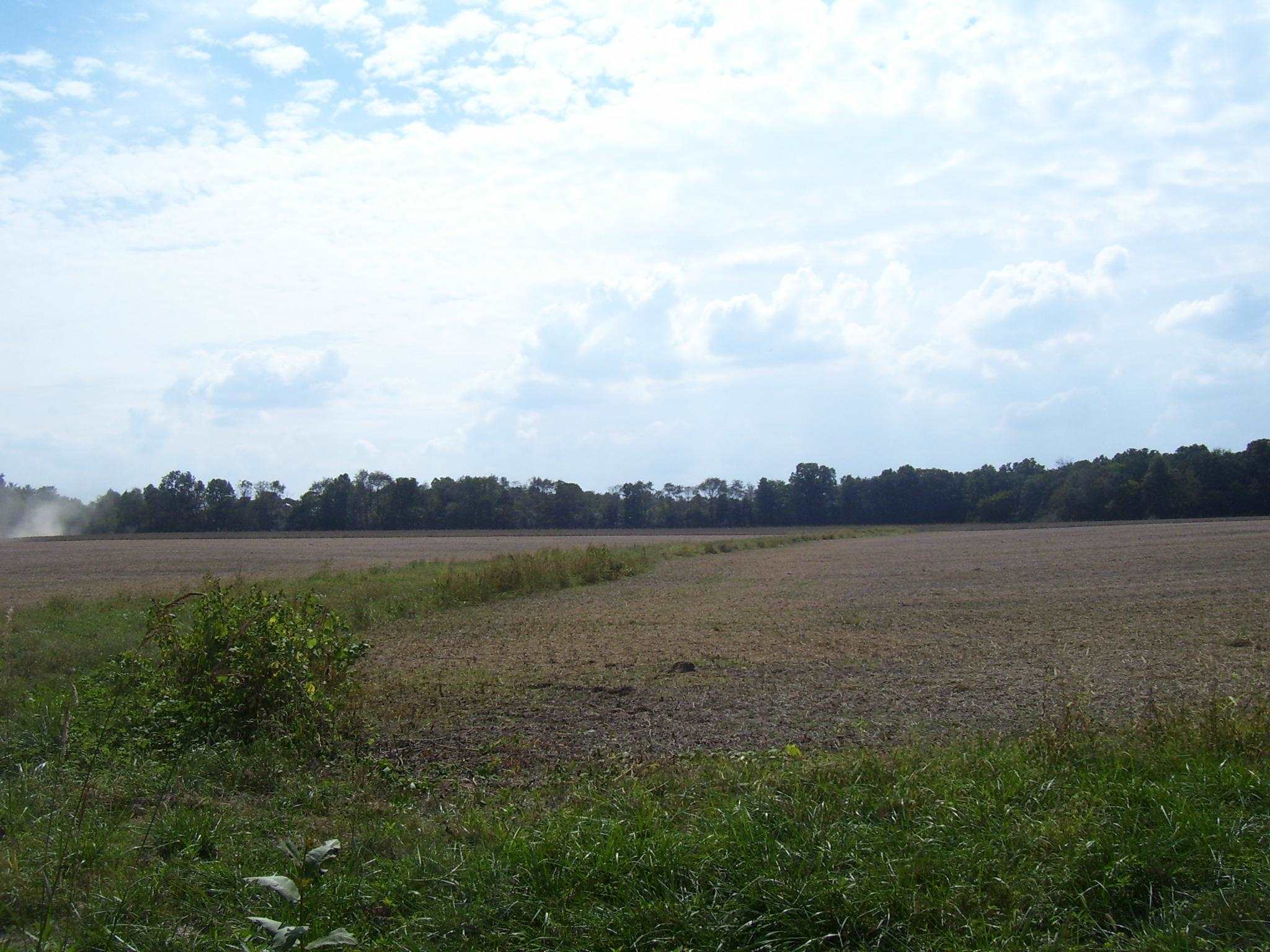 0 Dago Hill Road Iuka, IL 62849 - Photo 4 of 4