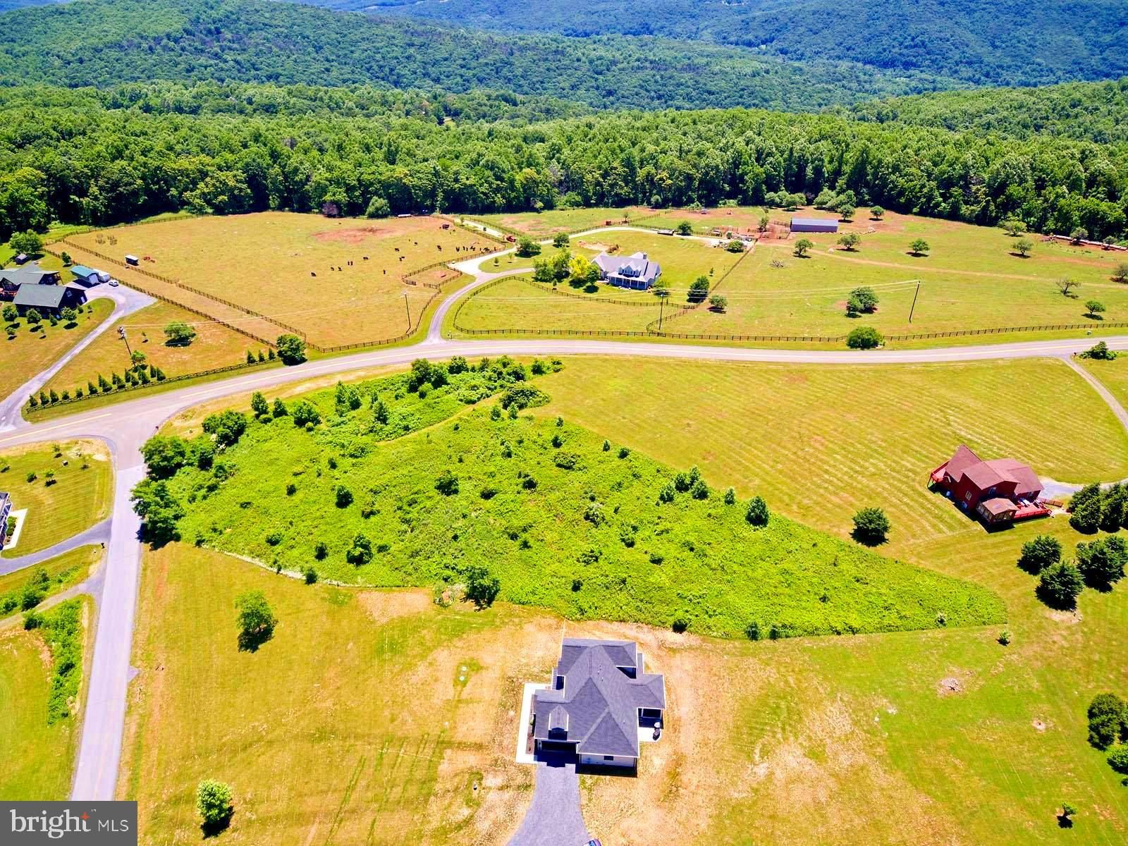 0 Freezeland Loop Road Linden, VA 22642 - Photo 9 of 10