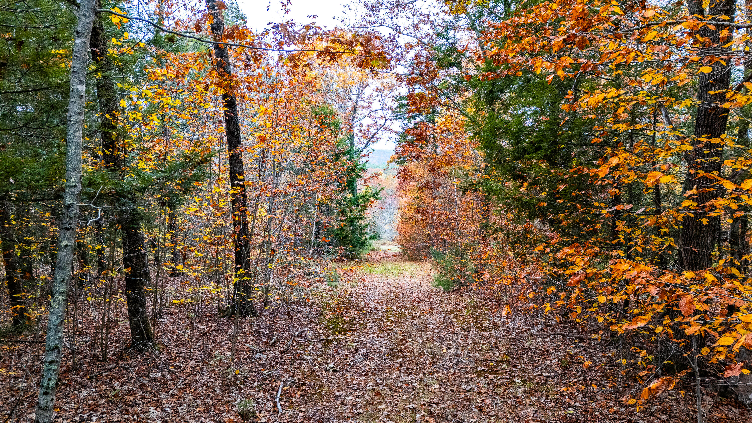 Lot#4 Bay View Trail Edgecomb, ME 04556 - Photo 20 of 48