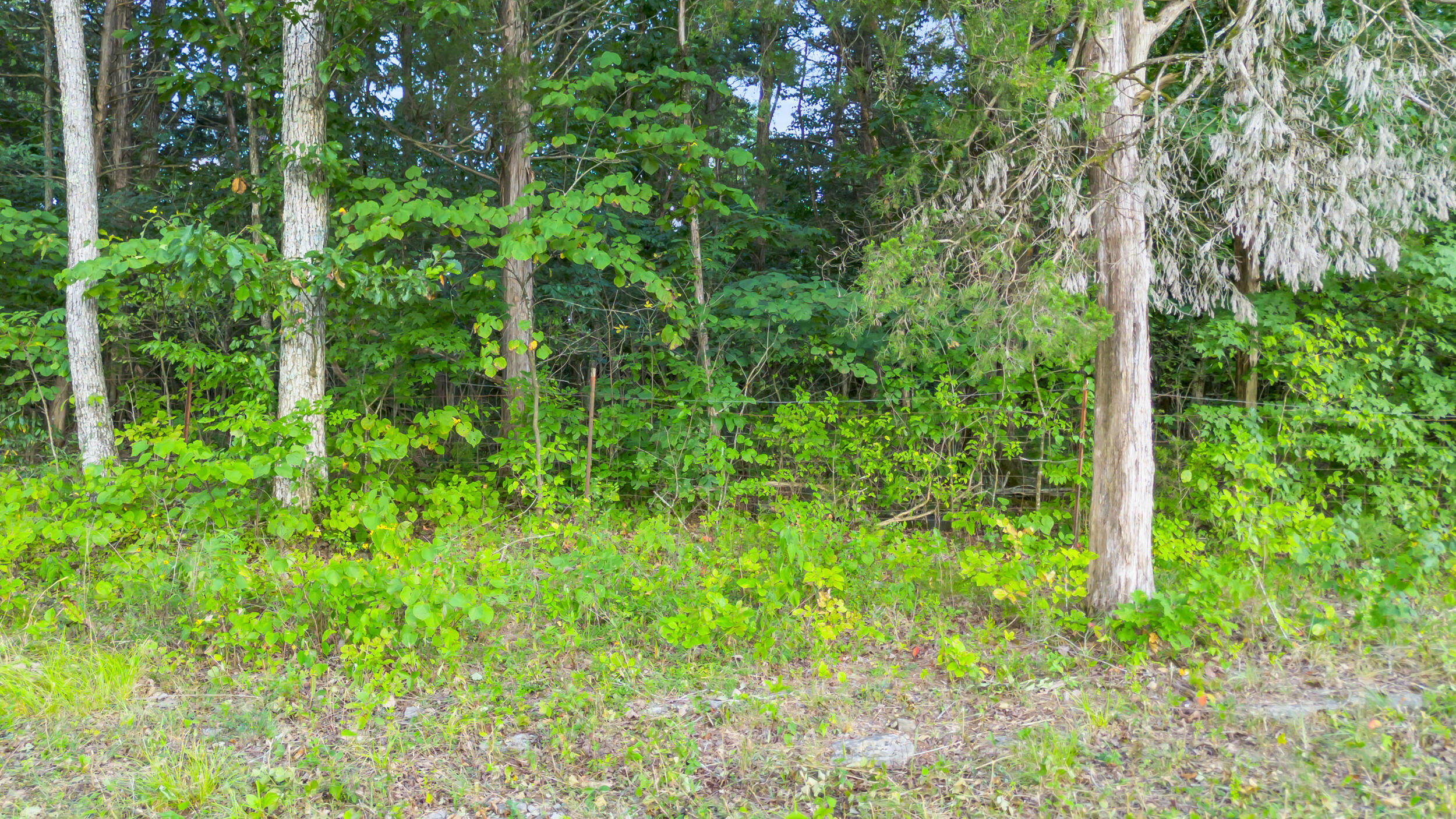 12921 Highway 58 Georgetown, TN 37336 - Photo 11 of 13 12921 tn-58-11