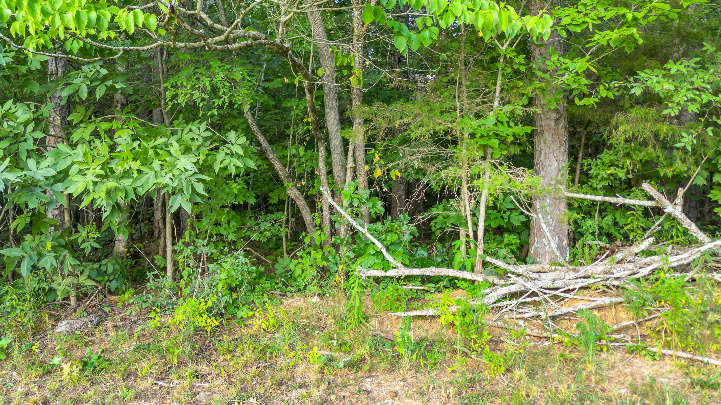 12921 Highway 58 Georgetown, TN 37336 - Photo 12 of 13 12921 tn-58-12