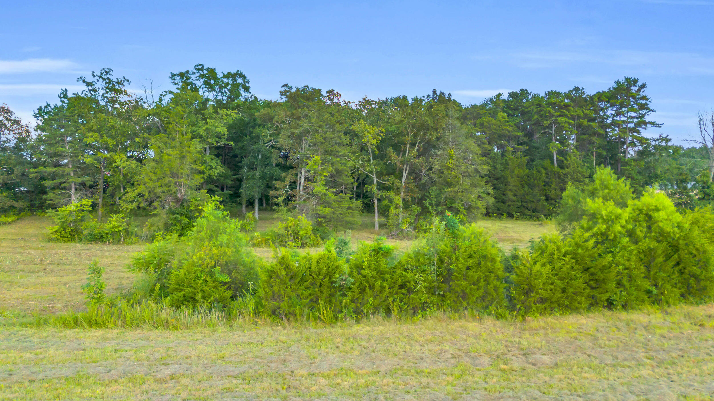 12921 Highway 58 Georgetown, TN 37336 - Photo 10 of 13 12921 tn-58-10