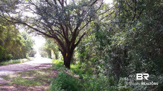 0 Faircloth Road Lillian, AL 36549 - Photo 1 of 3