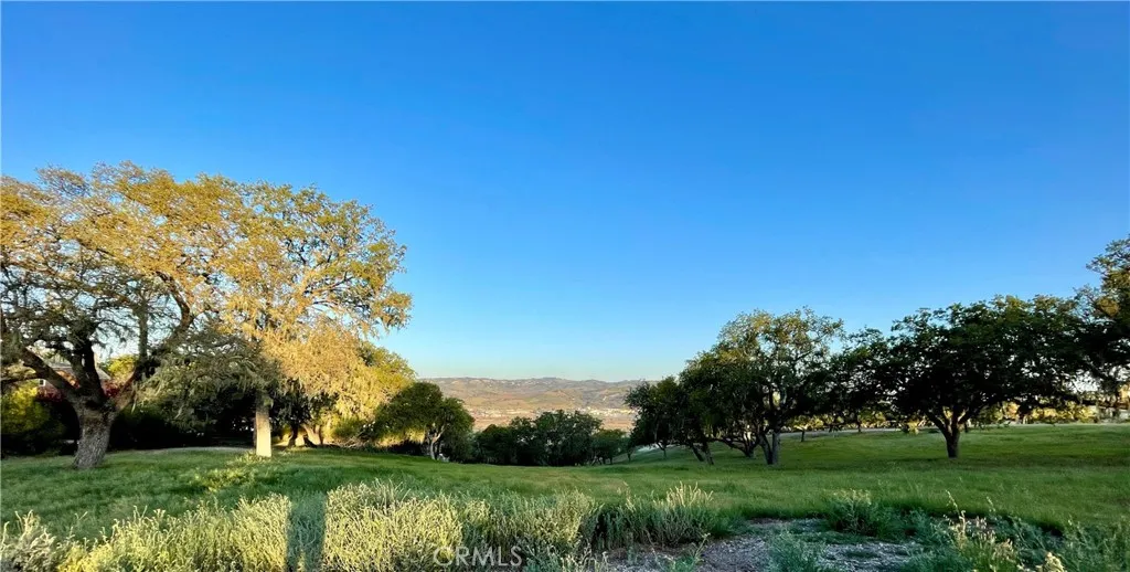 2255 Battering Rock Road Templeton, CA 93465 - Photo 6 of 14 a view of a grassy field with trees