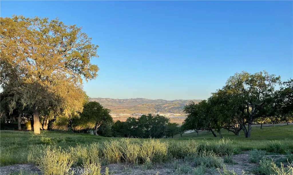 2255 Battering Rock Road Templeton, CA 93465 - Photo 7 of 14 a view of a green field with a tree