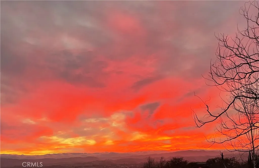 2255 Battering Rock Road Templeton, CA 93465 - Photo 10 of 14 a view of a bunch of trees
