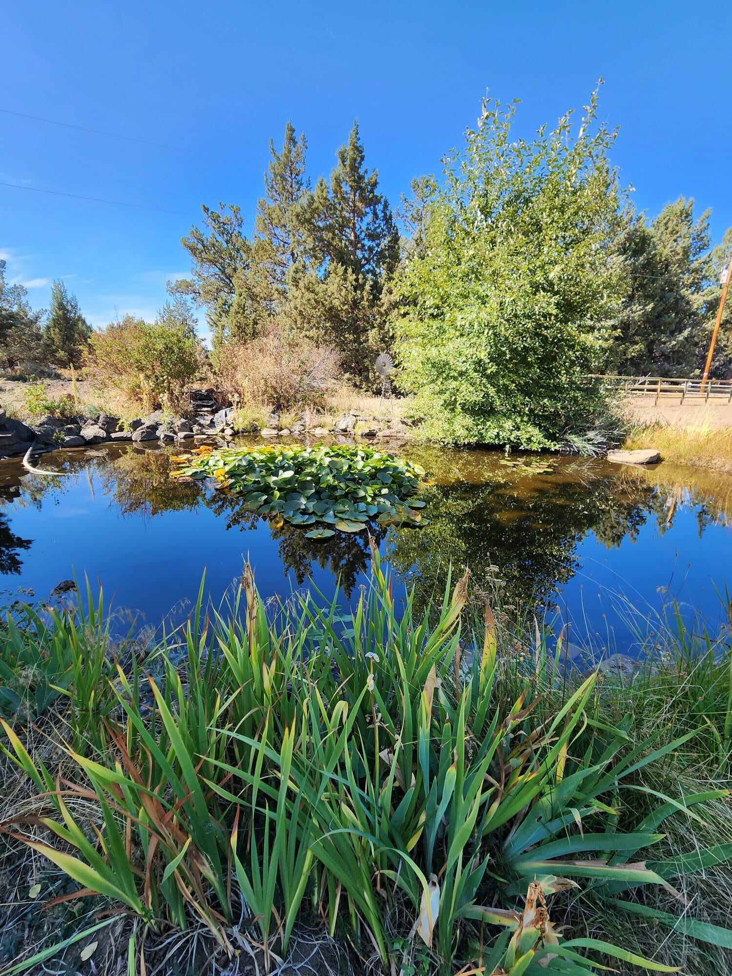18625 Couch Market Road Bend, OR 97703 - Photo 3 of 36 pond summer