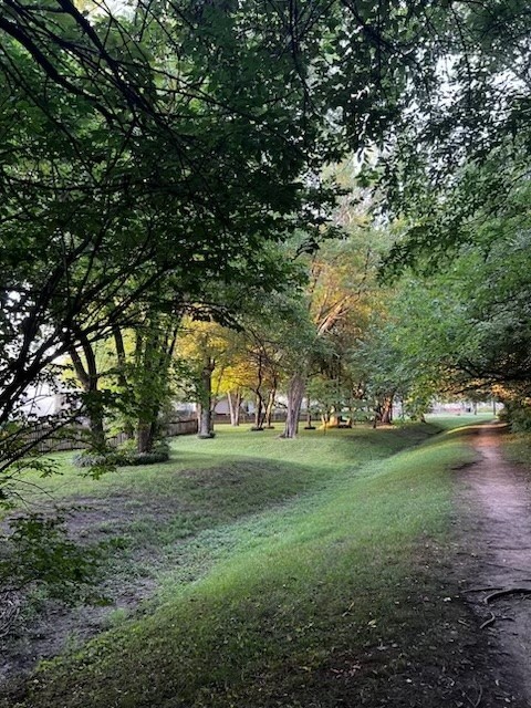 3208 Calvin Court Franklin, TN 37064 - Photo 26 of 26 a view of a trees in a yard