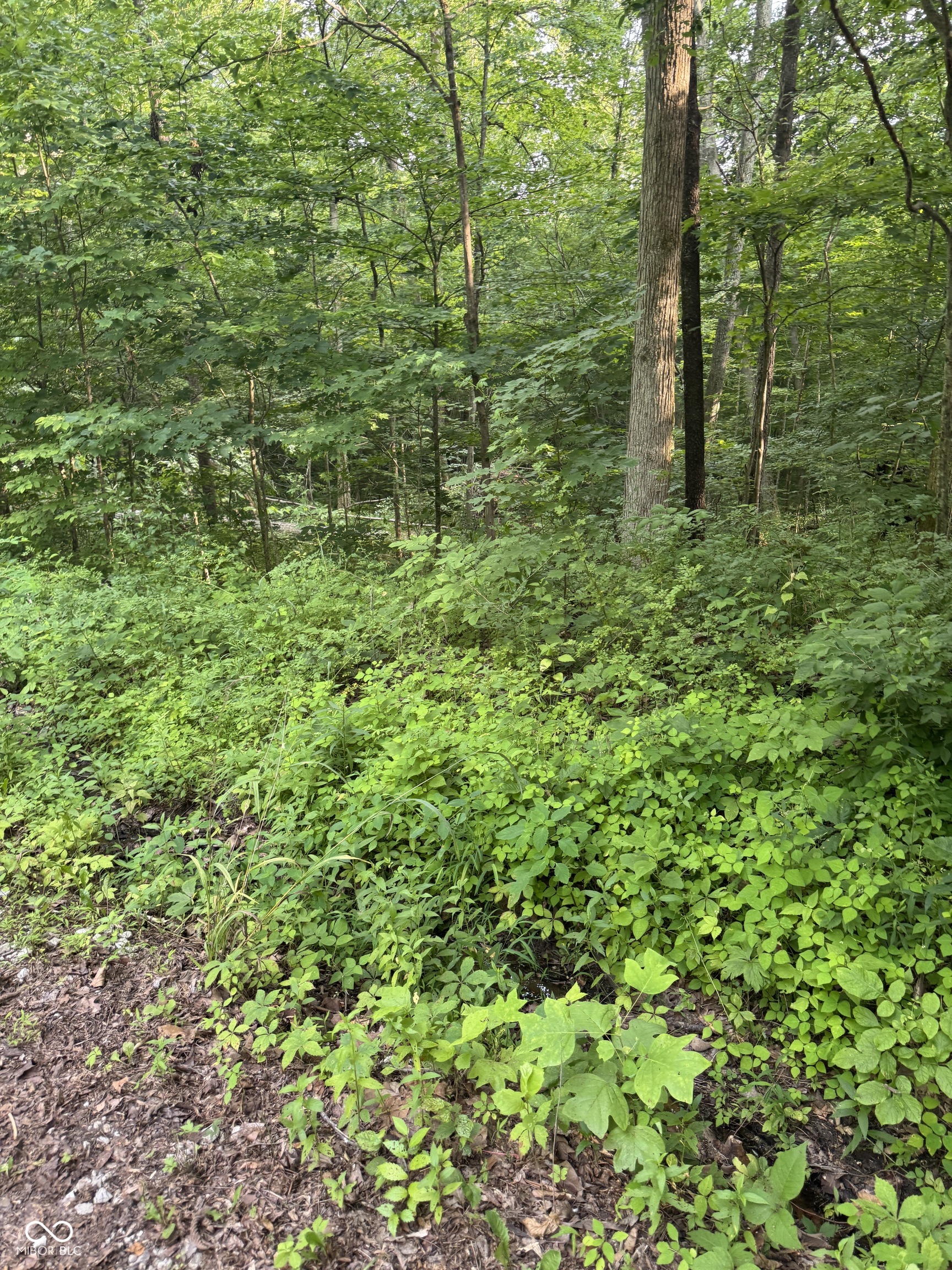 6983 Locust Lake Road Spencer, IN 47460 - Photo 5 of 5 Gallery Image 5