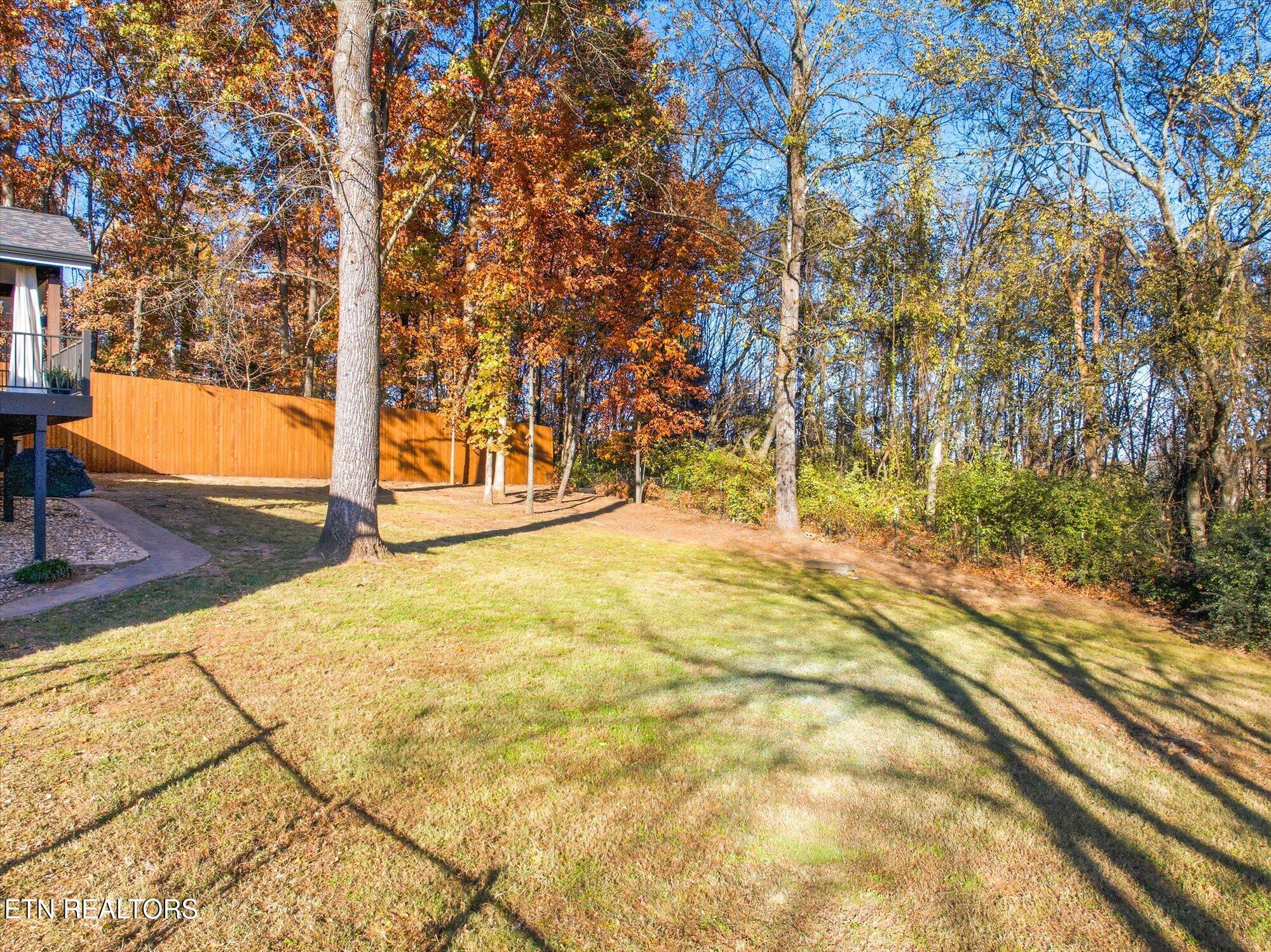 304 Oran Road Knoxville, TN 37934 - Photo 49 of 56 Back yard