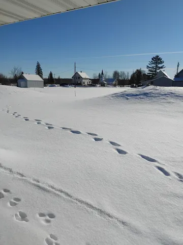 $209,000 | 4618 Madison Street, Bruno, MN 55712