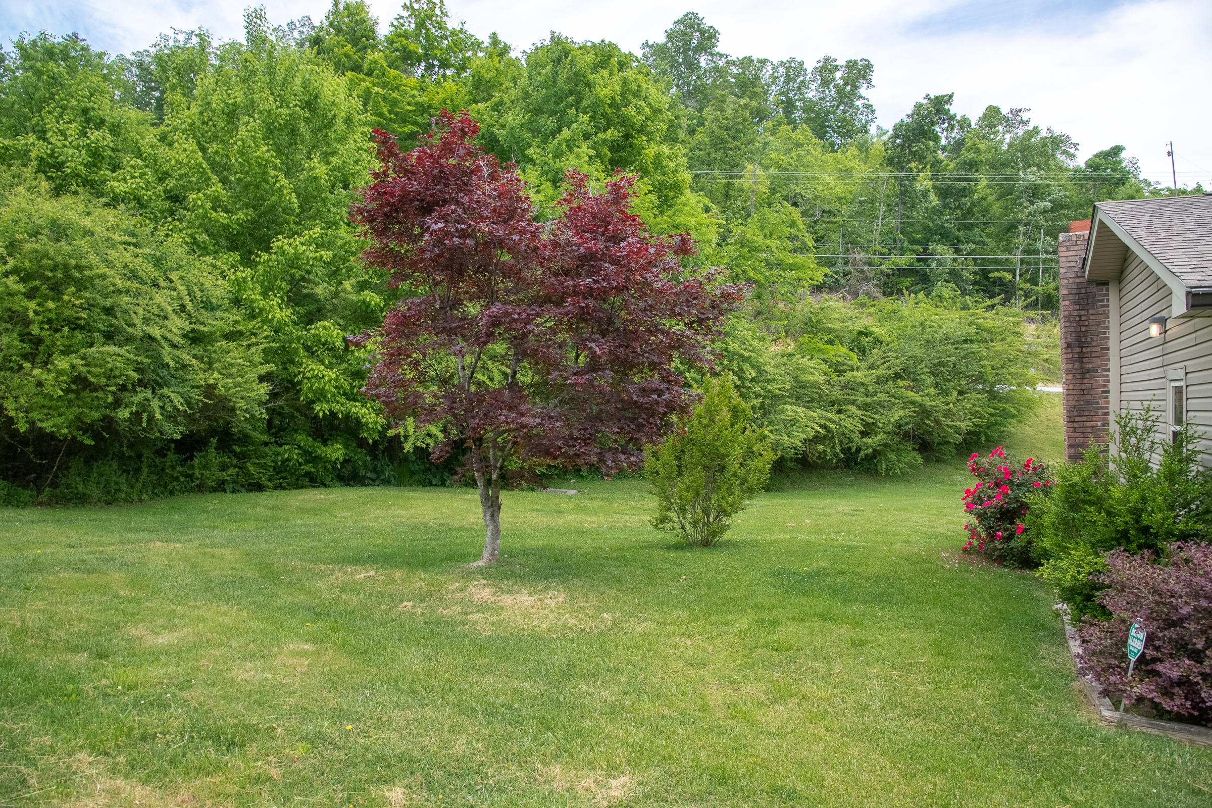 7100 Short Tail Springs Road Harrison, TN 37341 - Photo 24 of 29 Short Tail-27