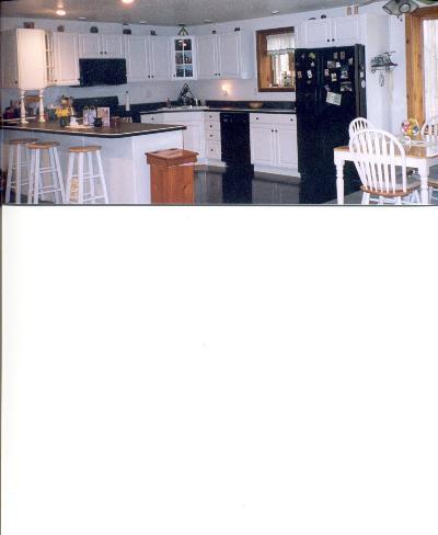 18101 Rome Road Hudson, MI 49247 - Photo 3 of 5 Additional Photo