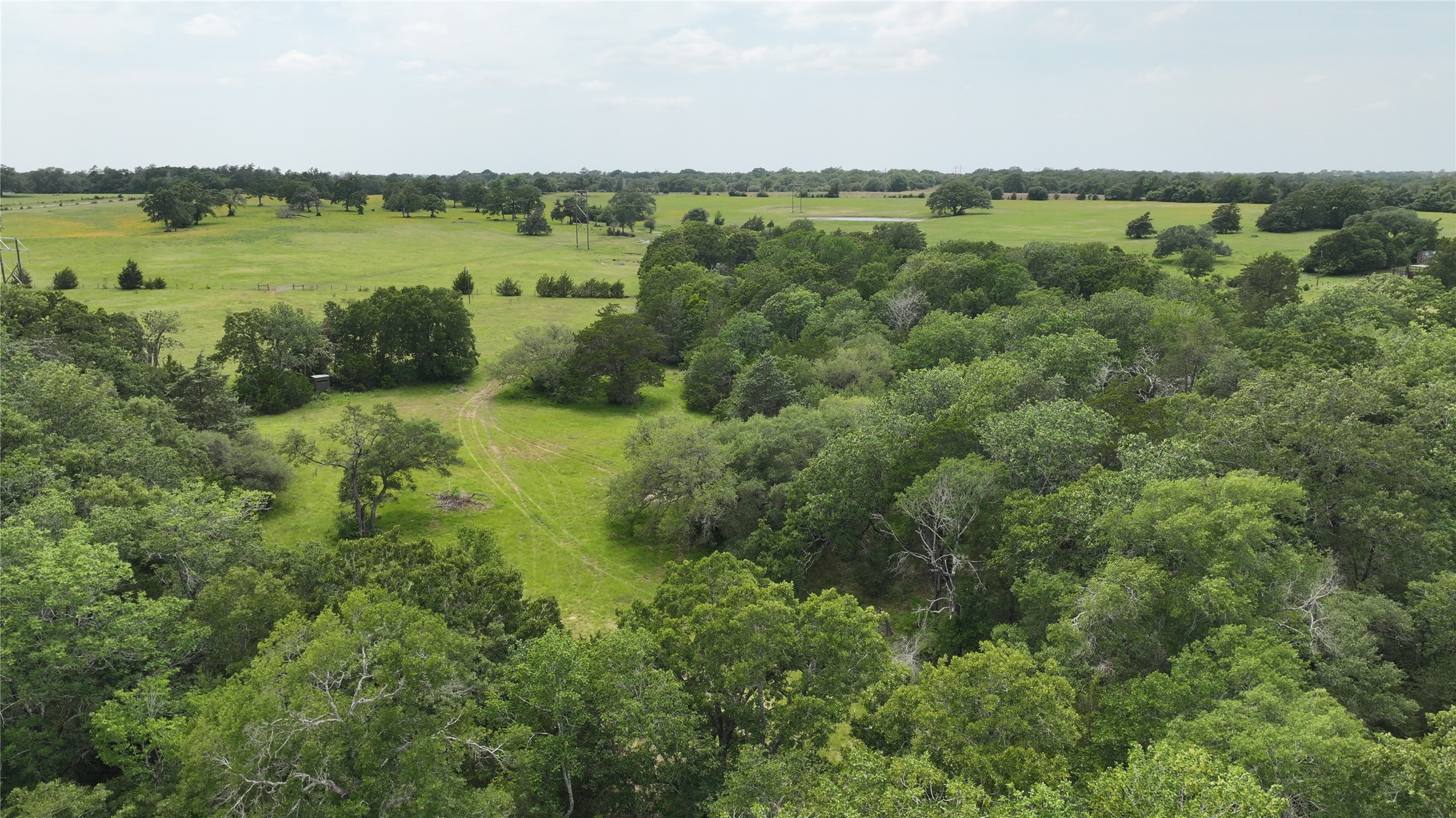 0 Greenvine Road Burton, TX 77835 - Photo 6 of 14
