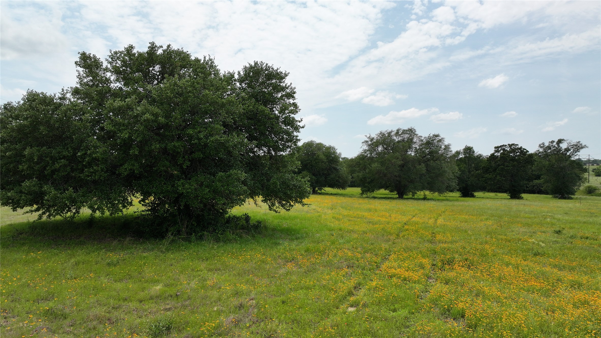 0 Greenvine Road Burton, TX 77835 - Photo 9 of 14