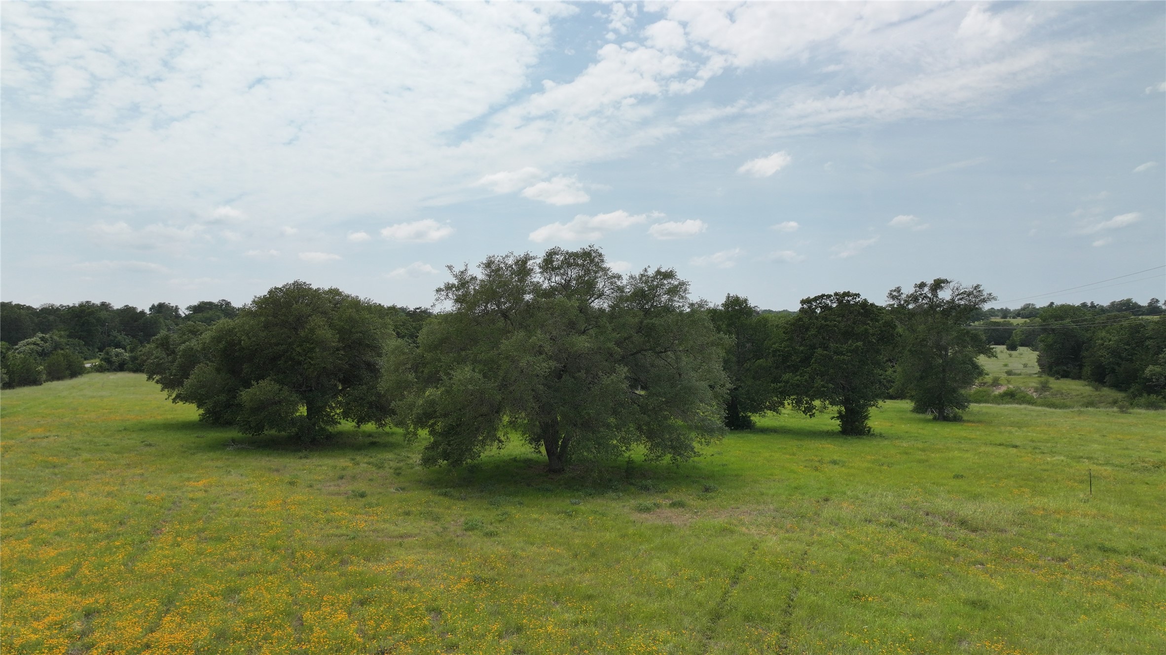 0 Greenvine Road Burton, TX 77835 - Photo 10 of 14