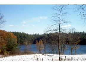 282 Hunkins Pond Road Sanbornton, NH 03269 - Photo 2 of 3 Gallery Image 2