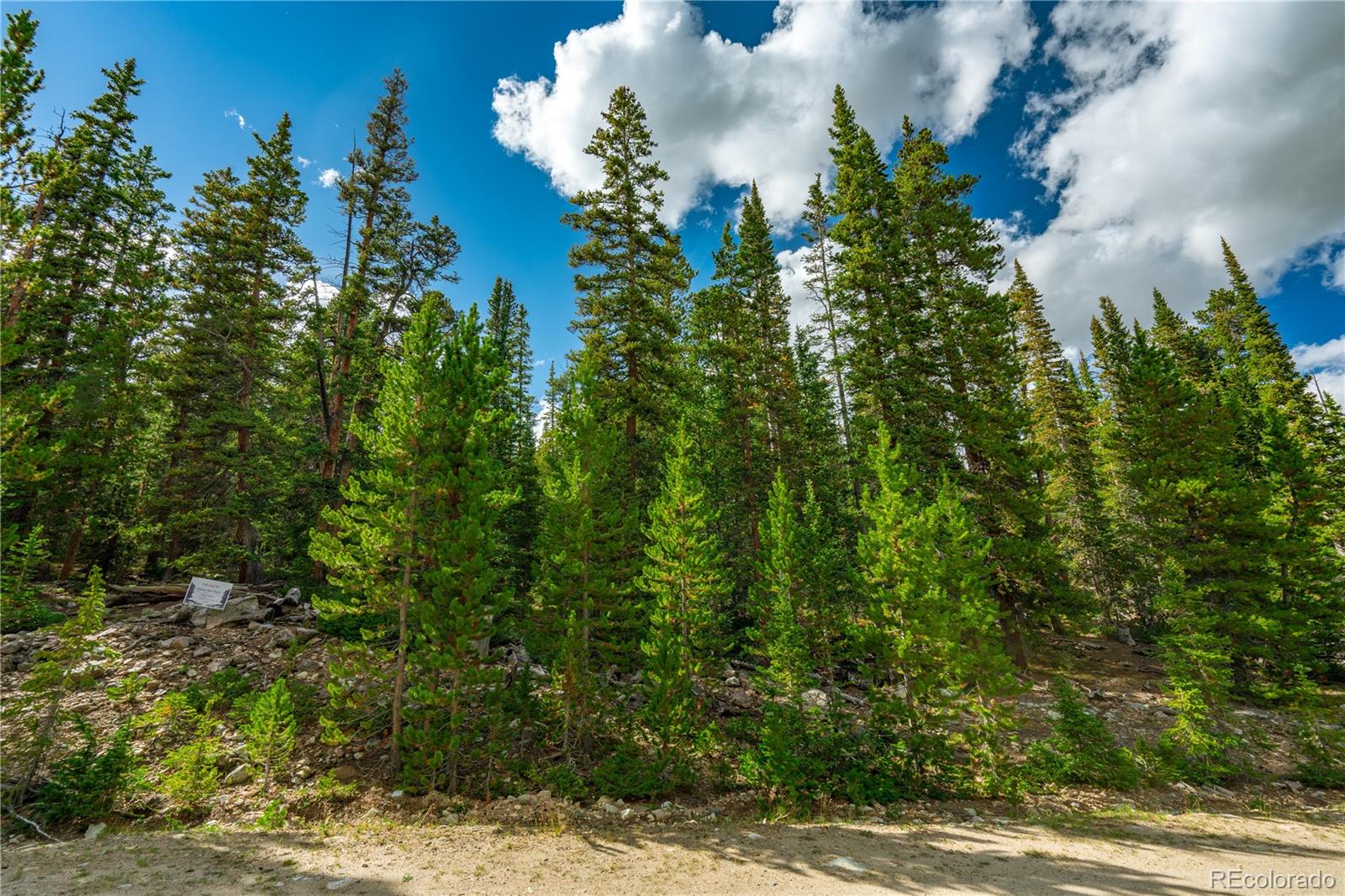 367 Porcupine Road Fairplay, CO 80440 - Photo 11 of 14 Gallery Image 11