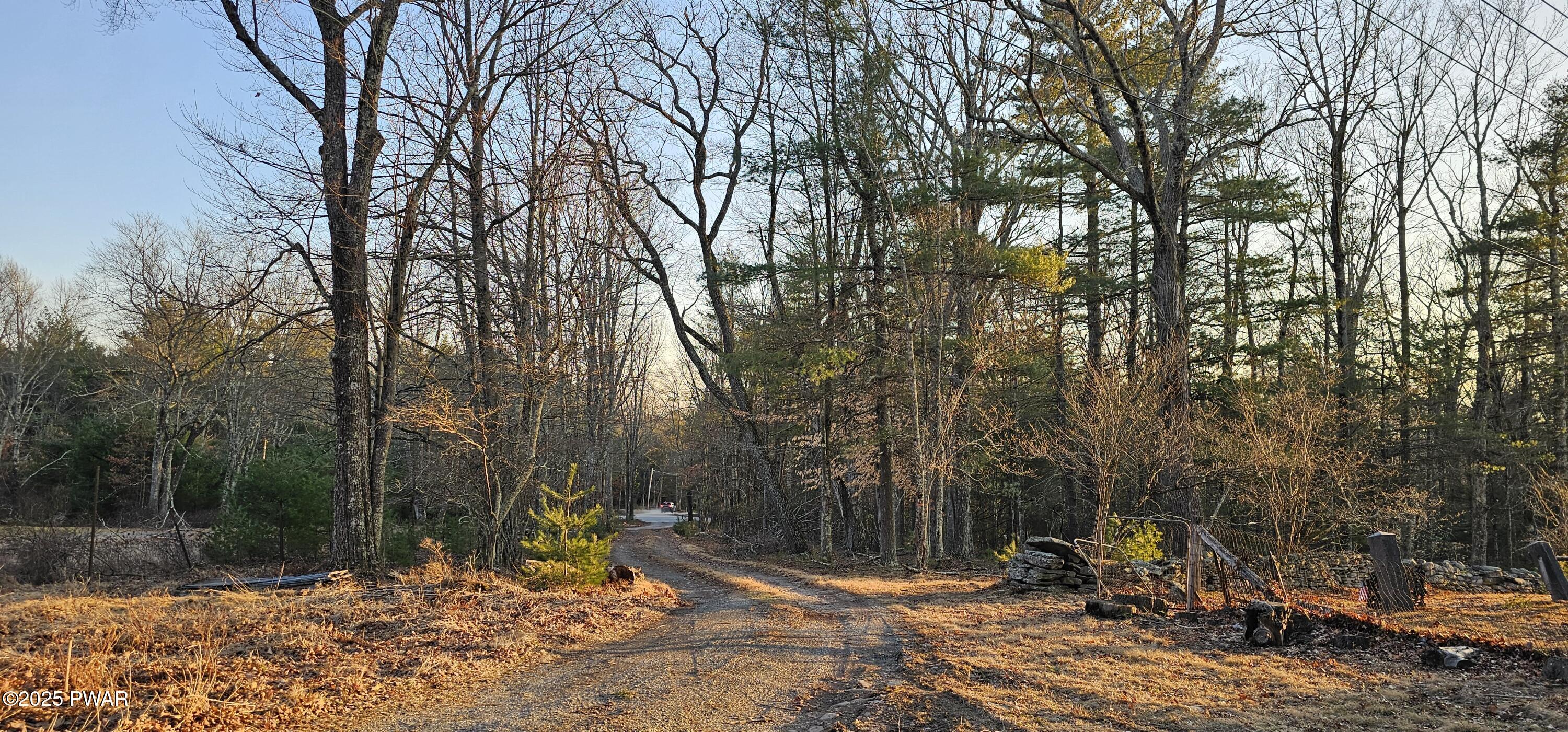 Lot 16.1 Beaver Brook Road Narrowsburg, NY 12764 - Photo 5 of 10