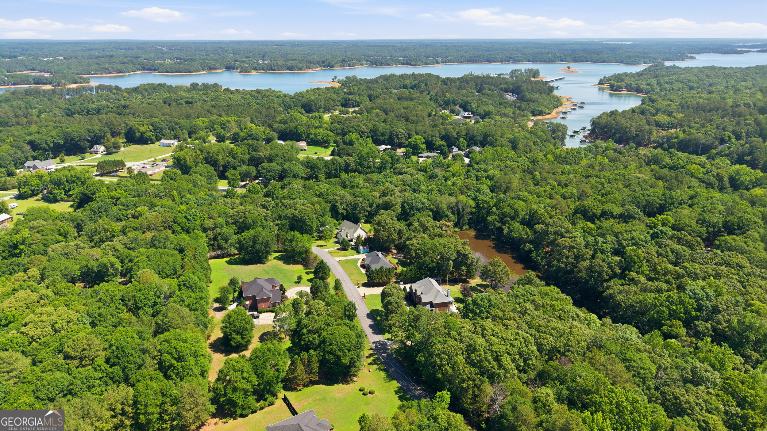 171 Winding Way Hartwell, GA 30643 - Photo 35 of 37 an aerial view of a houses with yard
